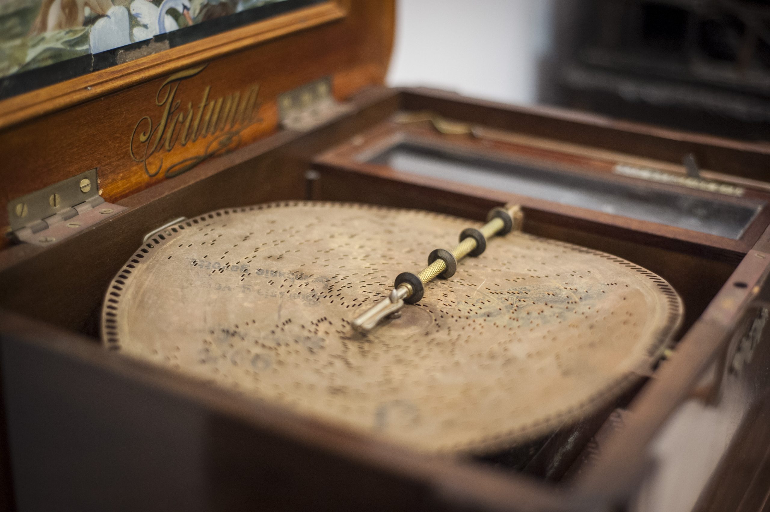 La mostra di Carillon di Enrico Salierno a Villa Fiorentino