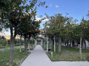agrumeto villa fiorentino sorrento about sorrento