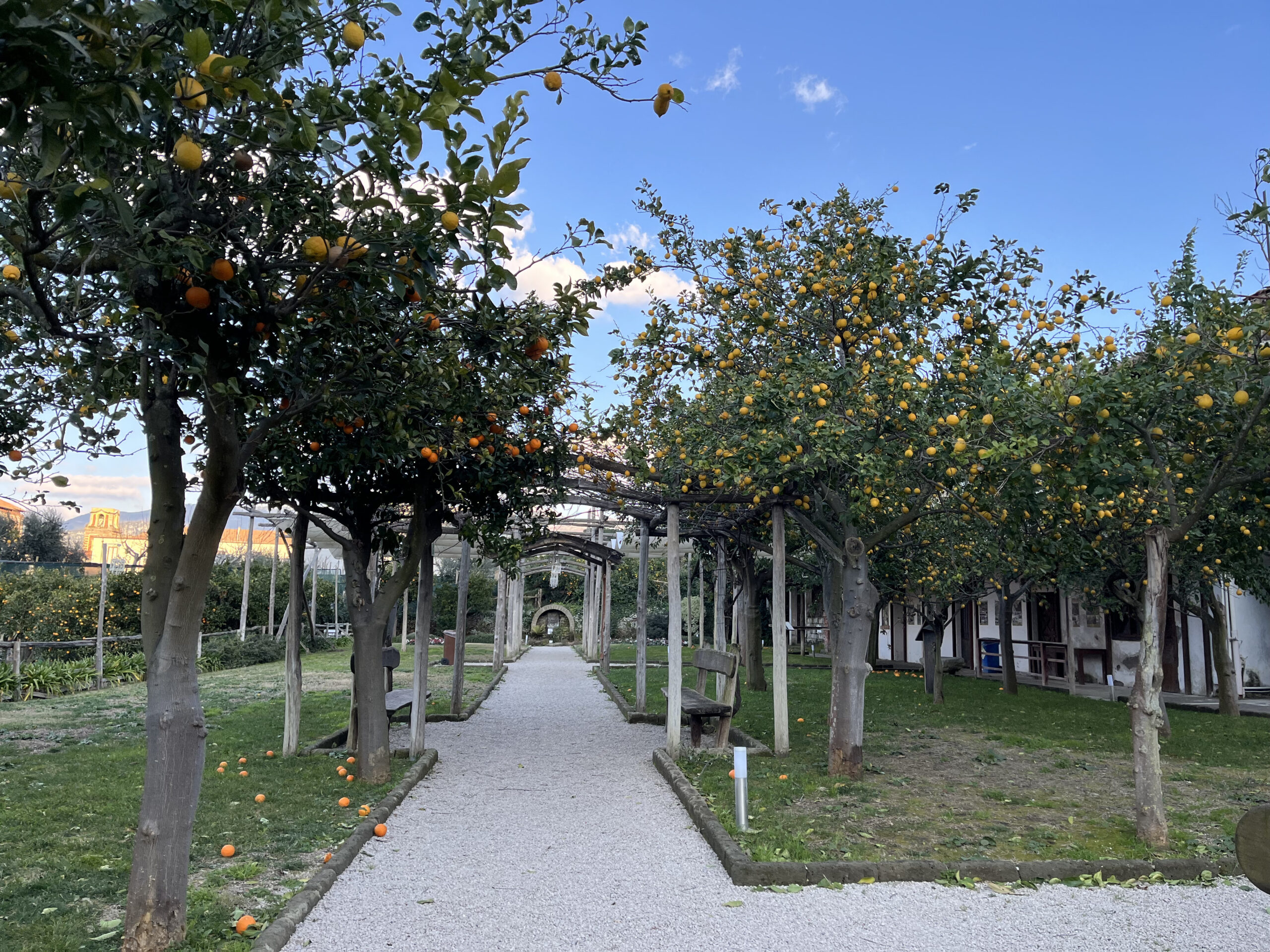 My Point Of View Sorrento: un giorno tipo della mia settimana