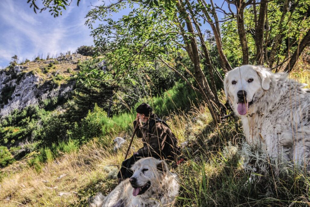 02_ febbraio Salvatore De Stefano