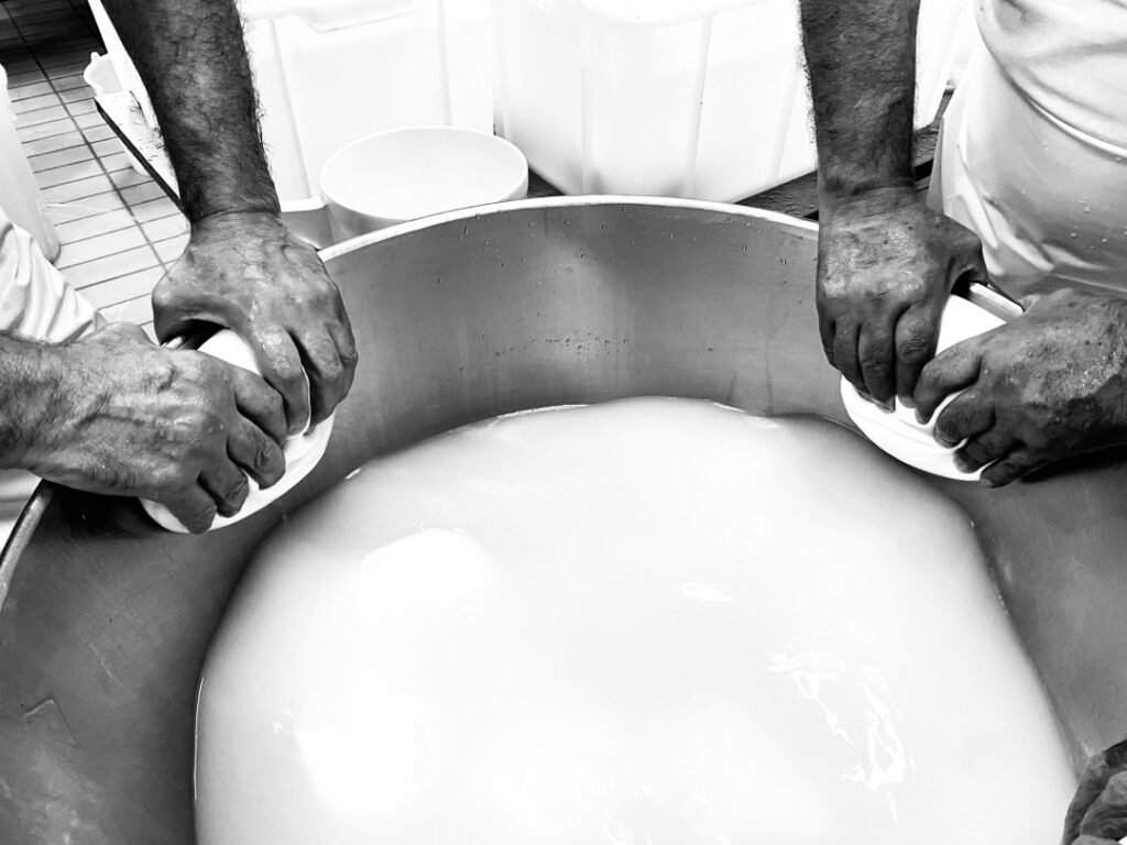 04_APRILE_Mani laboriose_Sara Russo