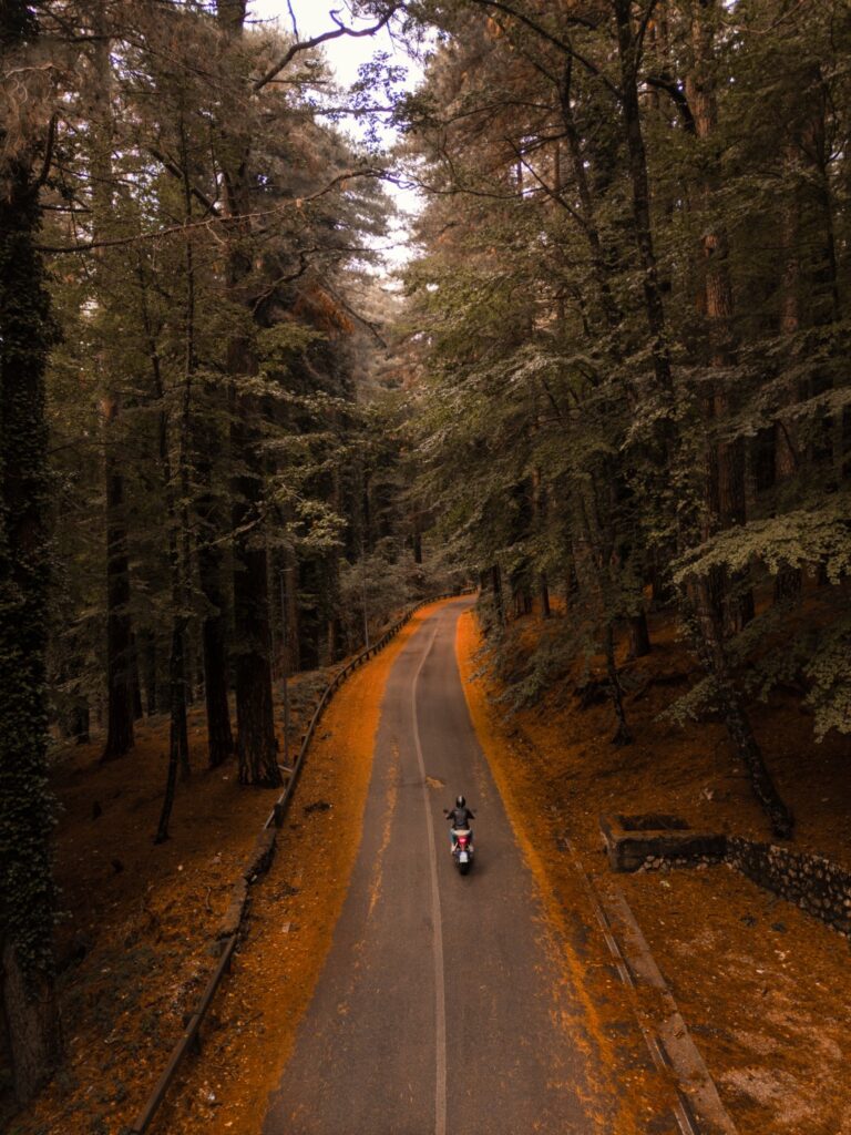 05_Francesco_Varone_Maggio_Vibrazioni d'autunno Fuga in moto sul Monte Faito