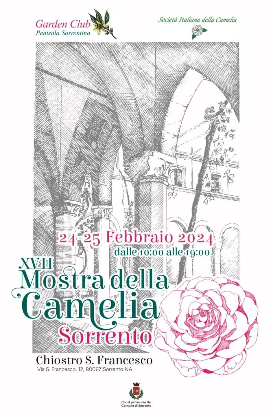 Eventi Sorrento 2024: XVII Mostra della Camelia