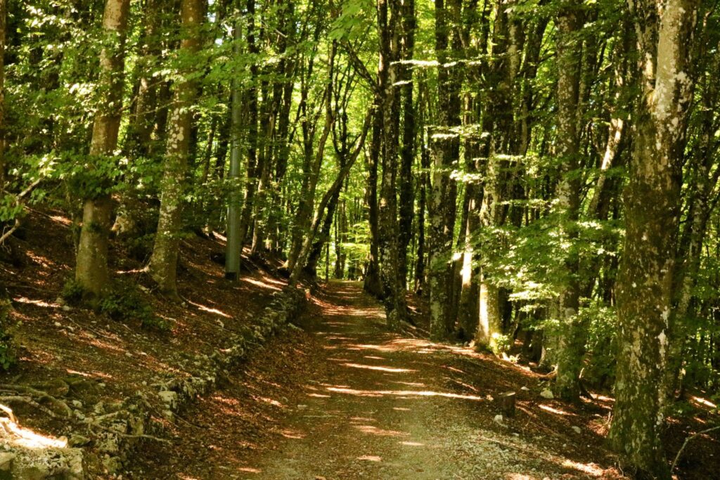 Monte faito trail path sofia lo piano about sorrento 2024 mypovsorrento