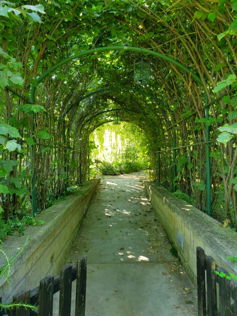 Leaf Tunnel oasi in città sant'agnello oasis in the city emalee pennington mypovsorrento 2024 about sorrento