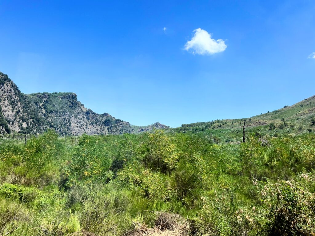 vesuvius big nose A hike up mount vesuvius sofia lo piano about sorrento mypovsorrento 2024