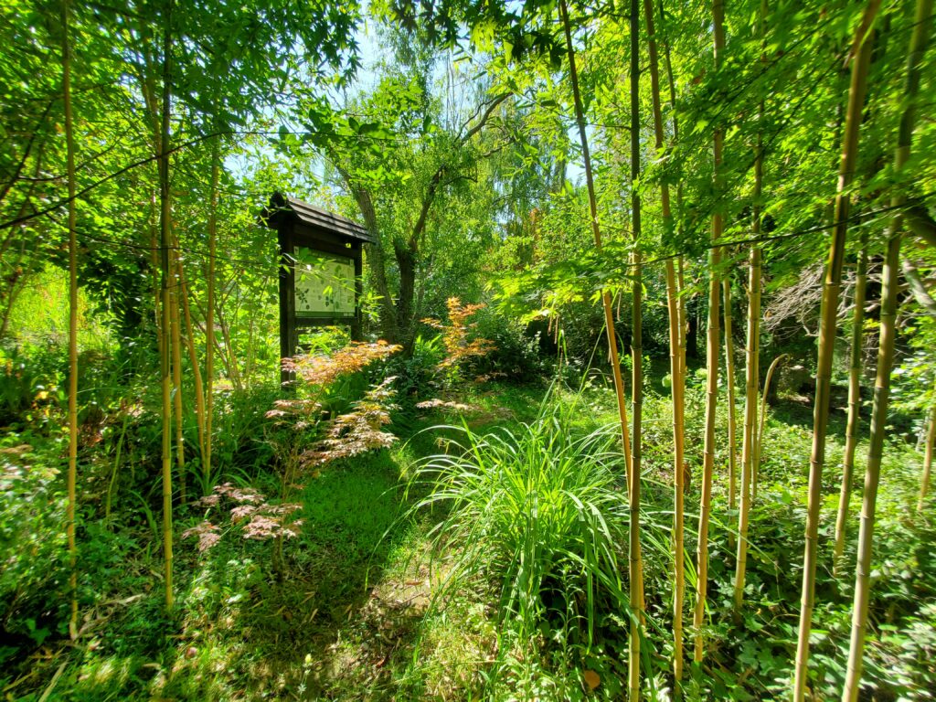 sign covered by trees and plants oasi in città sant'agnello oasis in the city emalee pennington mypovsorrento 2024 about sorrento