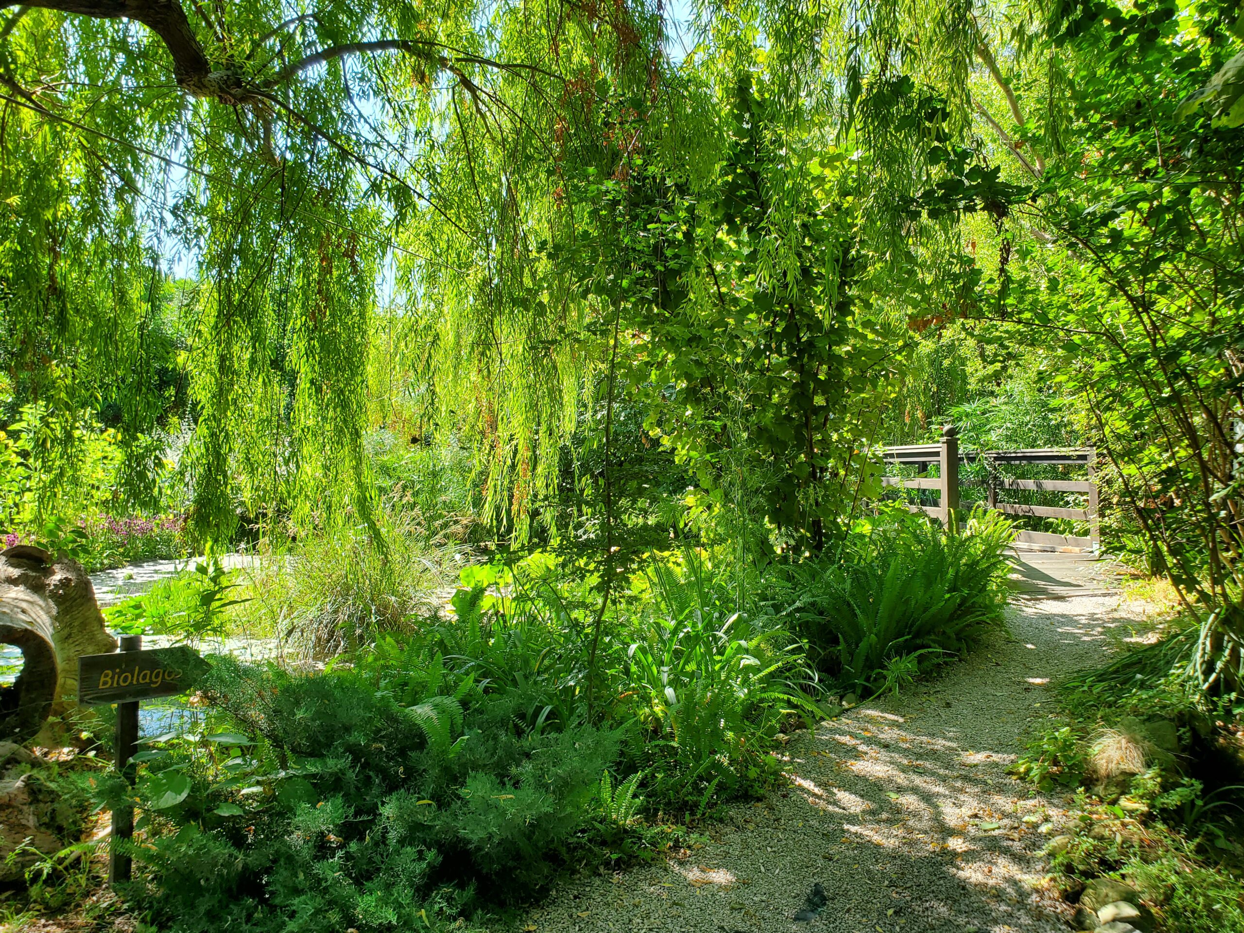 The Oasi In Città Park: A Hidden Gem in Sant’Agnello