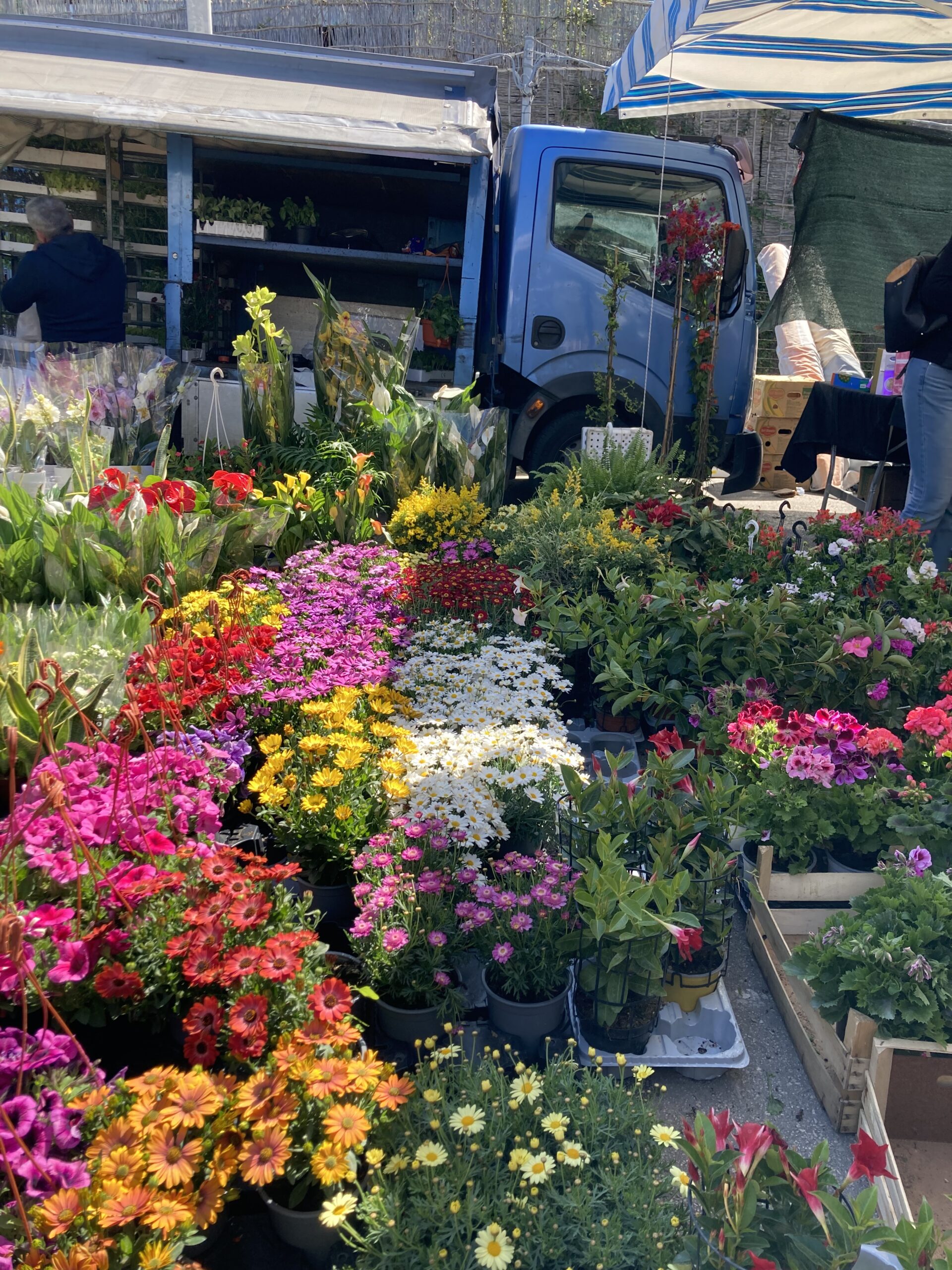 Sorrento’s Weekly Tuesday Market